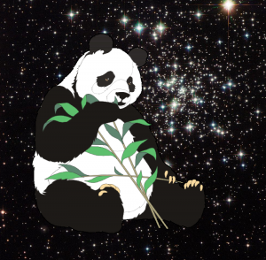 Panda-Mensional