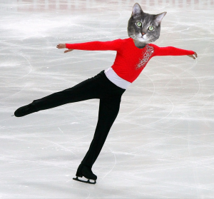 Figure Skating Cat