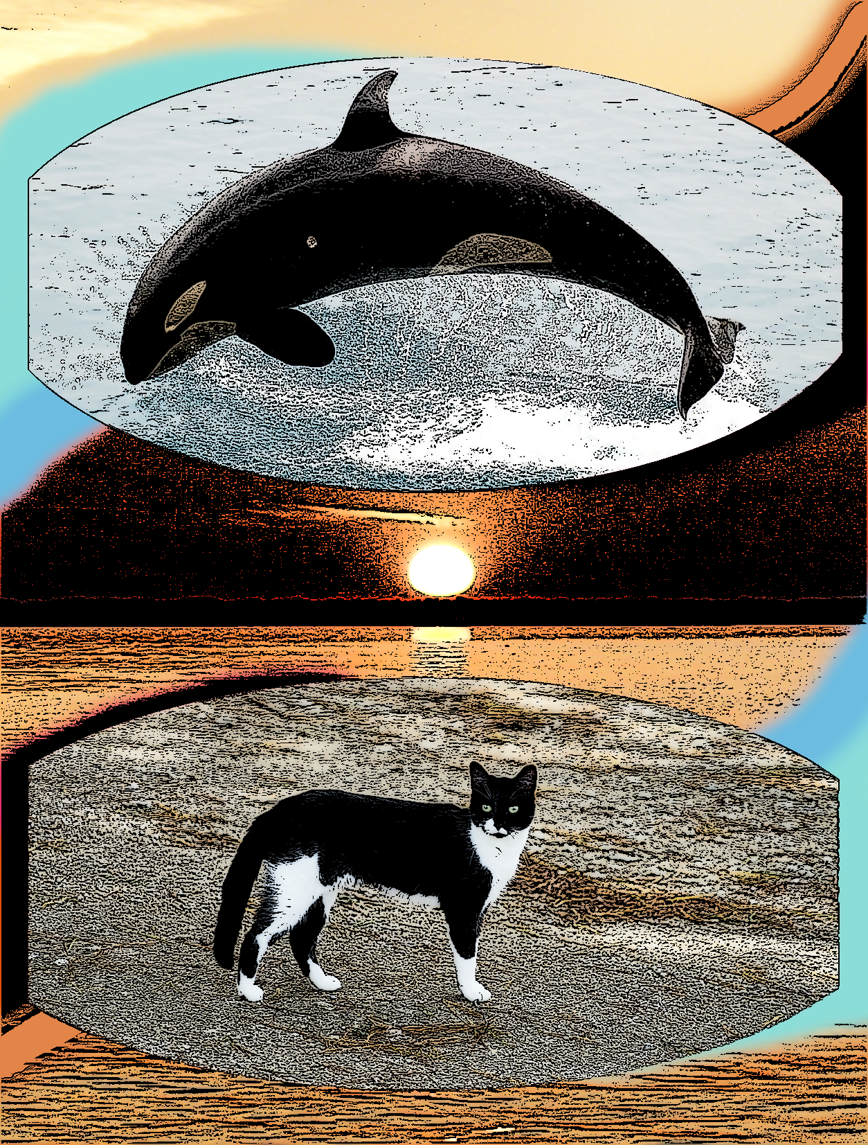 Heart of an Orca, Grace of a Cat – Deep Sky Anchor